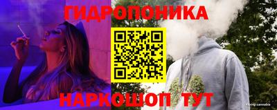 apvp Краснознаменск