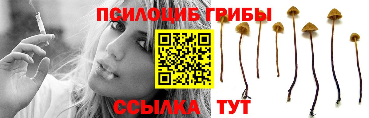 Галлюциногенные грибы Cubensis Иваново
